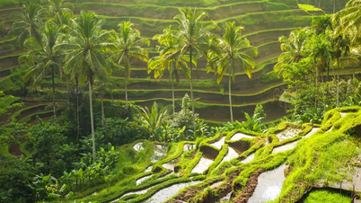 Top 10 địa điểm du lịch Indonesia: Khám phá thiên đường Đông Nam Á