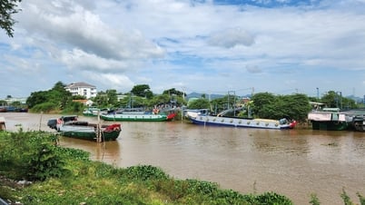 Doanh nghiệp than kiểm dịch lúa từ Campuchia bị 'ngâm', cơ quan chức năng lên tiếng
