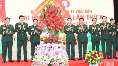 Das Parteikomitee der Thai Son Corporation hielt den Kongress für die Amtszeit 2025-2030 ab