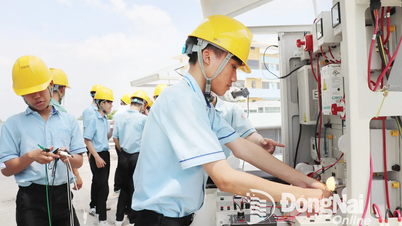 Kỳ vọng mô hình Trung học nghề