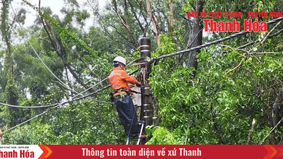 Hình ảnh đẹp của cán bộ, nhân viên ngành điện Thanh Hóa nhìn từ công tác ứng phó với cơn bão số 3