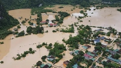 Ứng phó mưa lũ lưu vực sông Cả: Kiên quyết cấm người và phương tiện đi vào các điểm xung yếu