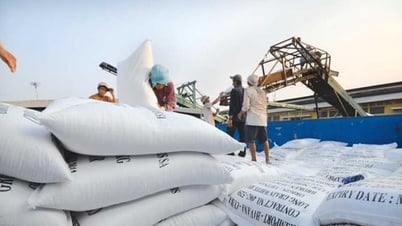 Việt Nam đứng thứ 3 xuất khẩu gạo tới Singapore
