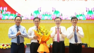 Ông Nguyễn Mạnh Cường được bầu làm Phó Chủ tịch UBND TPHCM