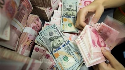 Tỷ giá ngoại tệ ngày 24/07/2025: USD và NDT biến động nhẹ