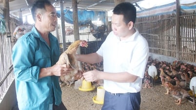Bắc Ninh: Khôi phục nhanh sản xuất, ổn định đời sống sau mưa bão
