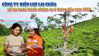 Công ty Điện lực Lai Châu nỗ lực hoàn thành nhiệm vụ 6 tháng đầu năm 2025