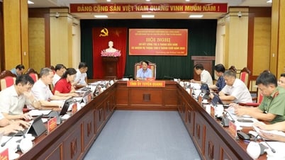 Ban Chỉ đạo về phát triển khoa học, công nghệ, đổi mới sáng tạo và chuyển đổi số triển khai nhiệm vụ 6 tháng cuối năm 2025