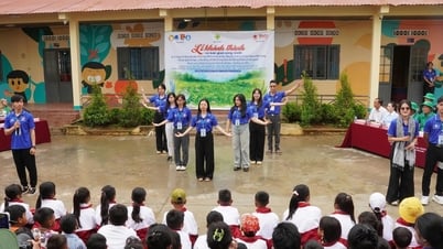 Trường ĐH Y dược Buôn Ma Thuột thực hiện dự án cải tạo trường tiểu học