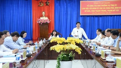 Ủy viên Ban Thường vụ Tỉnh ủy, Trưởng ban Tuyên giáo và Dân vận Tỉnh ủy An Giang Tống Phước Trường làm việc với 5 xã