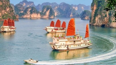 Du khách 18 năm thăm Việt Nam 19 lần và đây là những chia sẻ từ đáy lòng