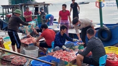 Ngành nông nghiệp giữ vững đà tăng trưởng