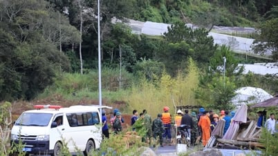 Lâm Đồng kiện toàn Ban Chỉ huy phòng, chống thiên tai và tìm kiếm cứu nạn