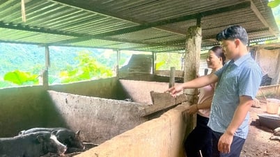 Diện mạo nông thôn khởi sắc