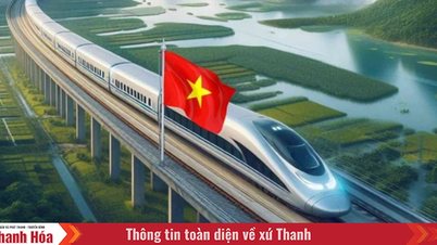Đẩy mạnh triển khai dự án đường sắt tốc độ cao trên trục Bắc - Nam