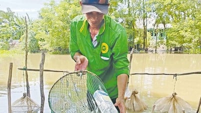 Ven biên rục rịch đón lũ