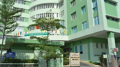 Đà Nẵng yêu cầu rà soát, xử lý nghiêm tình trạng “cò mồi” khám chữa bệnh