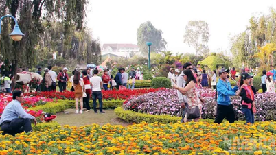 Lâm Đồng huy động mọi nguồn lực phát triển du lịch khu vực phường Lâm Viên-Đà Lạt