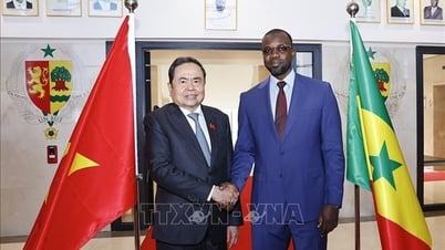 National Assembly Chairman Tran Thanh Man meets with Senegalese Prime Minister