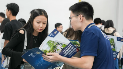 Trường Đại học Quốc tế Miền Đông công bố điểm sàn từ 15 - 17 điểm