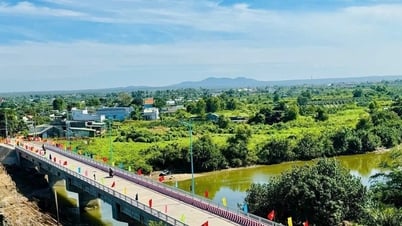 Đại hội Đại biểu Đảng bộ xã Tân Hải lần thứ I, nhiệm kỳ 2025 - 2030:Tân Hải tự tin bước vào chặng đường phát triển mới