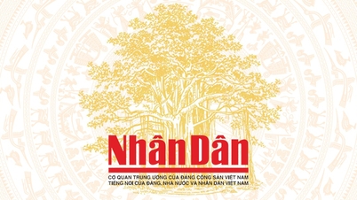 Cải thiện thu nhập cho đồng bào dân tộc thiểu số