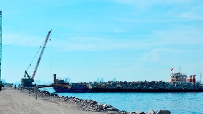 Đẩy nhanh tiến độ các nhiệm vụ liên quan tới Khu thương mại tự do Đà Nẵng