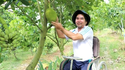 Người thương binh vươn lên từ gian khó