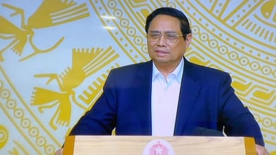 Thực hiện nguyên tắc '3 phải' trong phòng, chống thiên tai và tìm kiếm cứu nạn