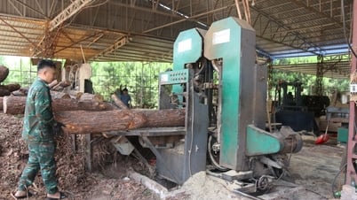 Tiếp sức phát triển sản xuất