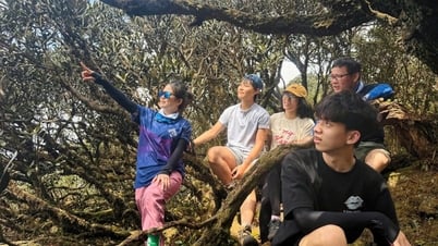 Kỳ quan trên “đường mòn địa chất”