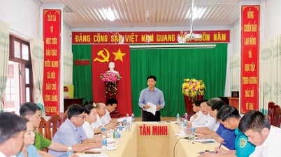 Đại hội Đại biểu Đảng bộ xã Tân Minh lần thứ I, nhiệm kỳ 2025 - 2030:Tân Minh: Từ vươn mình đến thành quả