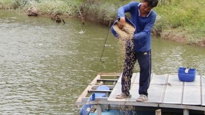 Sản lượng thủy hải sản đạt gần 452 ngàn tấn