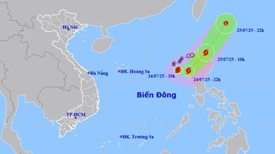 Bão số 4 năm 2025 tên gì, đang ở đâu trên Biển Đông?