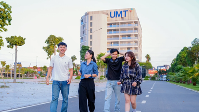 Die Ho Chi Minh City University of Management and Technology hat die Mindestpunktzahlen für neun Hauptfächer bekannt gegeben.