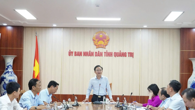Cho ý kiến về đề cương và thiết kế sáng tạo không gian trưng bày triển lãm