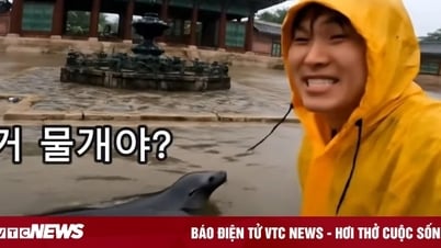 Video AI giả cảnh lũ lụt tại cung điện gây lo ngại về deepfake ở Hàn Quốc