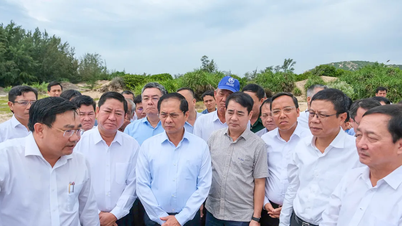 Phó Thủ tướng Bùi Thanh Sơn kiểm tra thực địa 2 dự án Nhà máy điện hạt nhân tại Khánh Hòa
