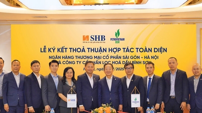 SHB hợp tác toàn diện với CTCP Lọc hóa dầu Bình Sơn