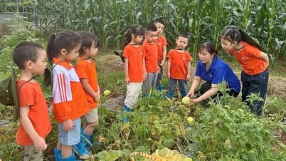 Dạy hè ở trường tư