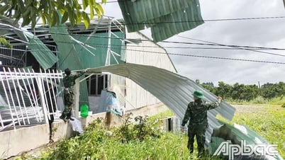 Đồng Tháp: Tăng cường chỉ đạo khắc phục thiệt hại do thiên tai gây ra