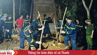 Xử lý kịp thời nguy cơ vỡ đê tại xã Triệu Sơn