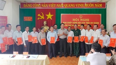 Thành lập Hội Cựu chiến binh tỉnh An Giang và kiện toàn nhân sự nhiệm kỳ 2022 - 2027