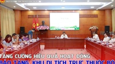 Tăng cường hiệu quả hoạt động bảo tàng, khu di tích trực thuộc Bộ