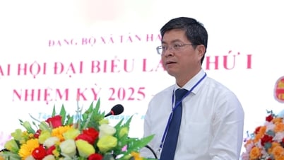 Xây dựng xã Tân Hải phát triển nhanh, toàn diện và bền vững