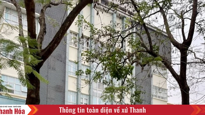 Thay đổi tên cơ quan, mẫu con dấu và địa bàn quản lý của cơ quan bảo hiểm xã hội tỉnh Thanh Hoá