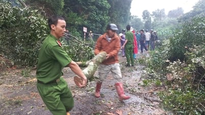 Lâm Đồng: Sạt lở nhiều điểm trên Quốc lộ 27