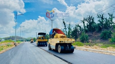 Đặc khu Vân Đồn bứt phá trong giải ngân vốn đầu tư công