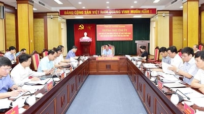Thường trực Tỉnh ủy làm việc về tiến độ triển khai một số dự án trọng điểm trên địa bàn tỉnh