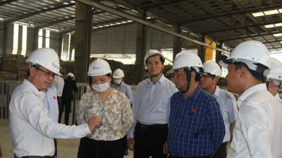 Phó Chủ tịch Quốc hội Lê Minh Hoan kiểm tra thực hiện chính sách bảo vệ môi trường tại Bình Dương (trước đây)